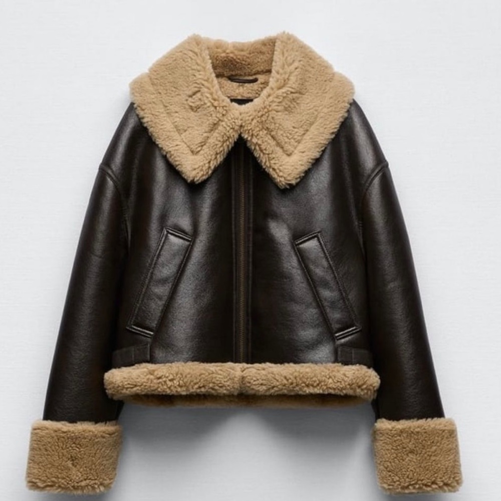 Zara Shearling Faux Fur Jacket